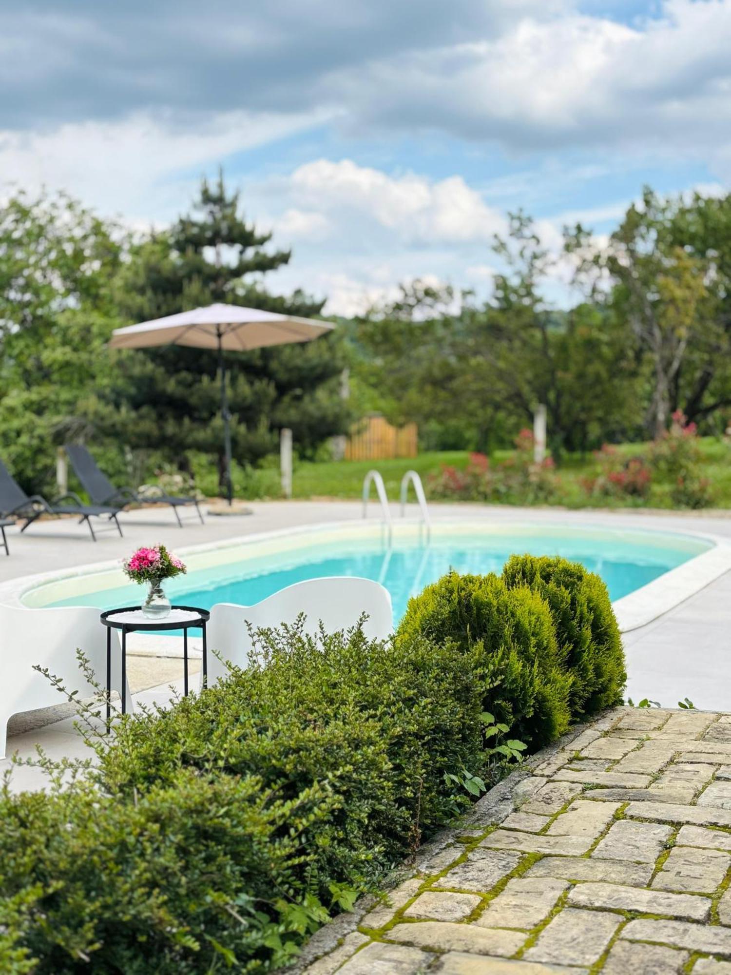 Fruska Pool House Villa Sremska Kamenica Exterior photo